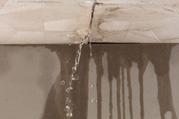 Professional Structural Drying technician working in Leroy, TX